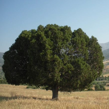 A Newer World Publishing LLC